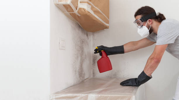 Professional Mold Testing technician working in Quincy, MA