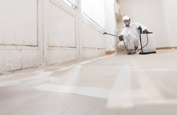 24/7 Emergency Mold Testing experts in Quincy, MA