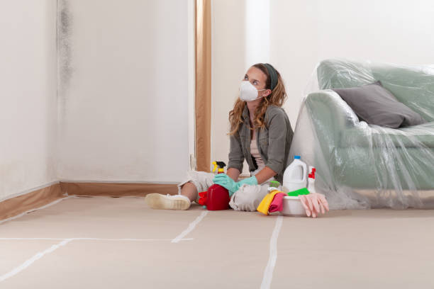 Reliable Mold Testing contractor in Quincy, MA by WQB Mold Removal